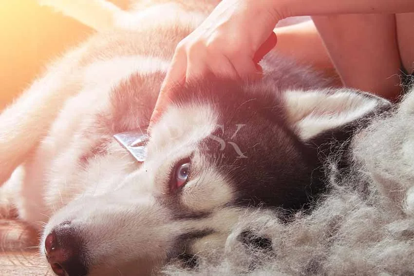 Hijyen Eğitimi Nereden Alınır?