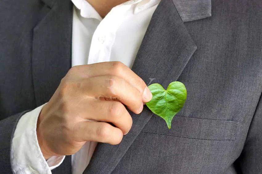 SA 800 Belgelendirme Önemi