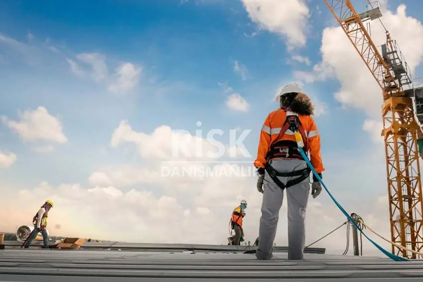 Yaşam Hattı Standartları - Risk Danışmanlık
